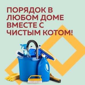 ПОРЯДОК В ЛЮБОМ ДОМЕ ВМЕСТЕ С ЧИСТЫМ КОТОМ!