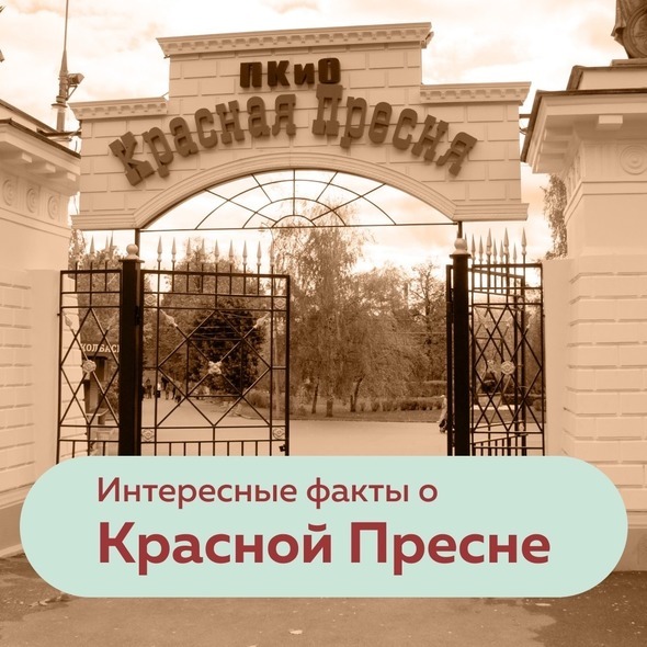 ИНТЕРЕСНЫЕ ФАКТЫ!