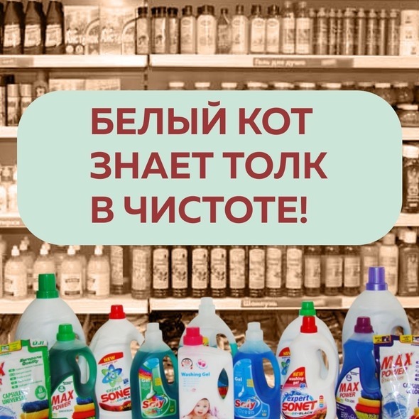 НАВОДИМ ЧИСТОТУ ВМЕСТЕ С БЕЛЫМ КОТОМ!
